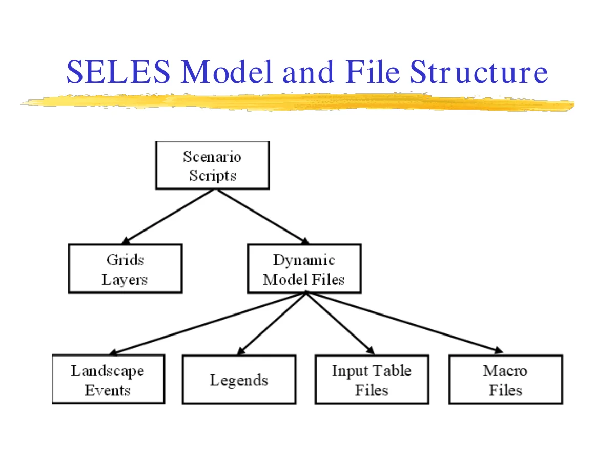 SELES Model and File Structure
